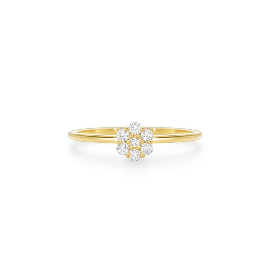 Bague éclairage