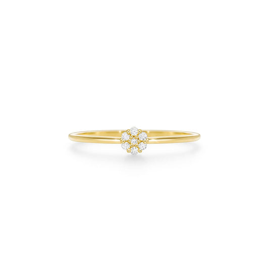Bague éclairage petit